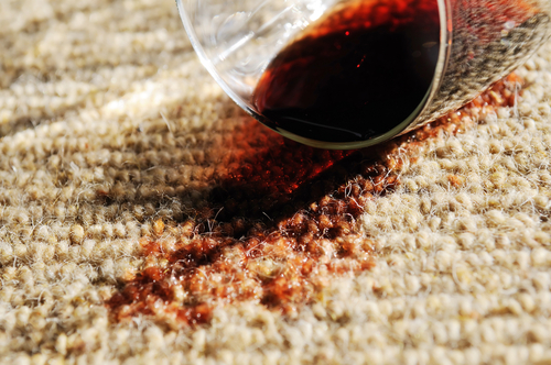 Carpet Cleaning Services